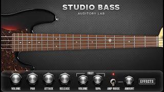 Realistic Bass Guitar Instrument Plugin (Pc/Mac VST, AU,AAX)