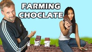 Should We Buy A Chocolate Farm? Bohol Philippines