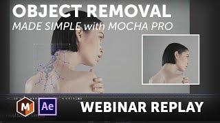 Webinar Replay: Object Removal Made Simple with Mocha Pro