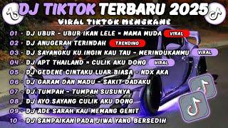 DJ TIKTOK TERBARU 2025 || DJ UBUR - UBUR IKAN LELE  DJ ANUGERAH TERINDAH  FULL ALBUM TERVIRAL