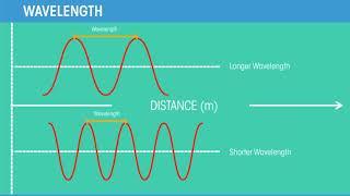 Wave motion ¦ Waves ¦ Physics ¦ FuseSchool