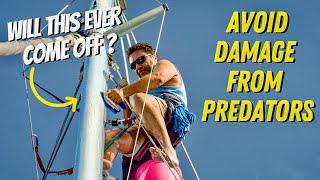 AVOID DAMAGE from PREDATORS - SAILING LIFE ON JUPITER EP147