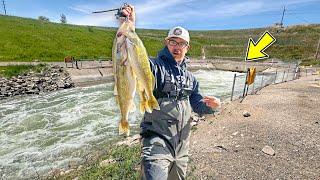 Heavy Rains Pushed EVERYTHING To This RAGING OUTLET CANAL!!! (Overnight Spillway Camping)