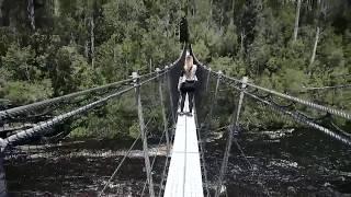 Tahune Airwalk Tasmania