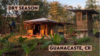 Permaculture Homestead Walkthrough, Year 3 Peak Dry Season