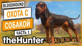 theHunter Call of the Wild #1  - Открытие Сезона Охоты с Собакой - BLOODHOUND DLC (2021)