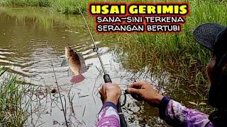 Strike Bertubi..‼️ Mancing Ikan Nila Seusai Gerimis