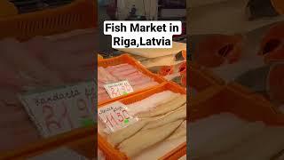 Riga fish market #riga #latvia #studentlifeinlatvia #mallu #indian #latvian #ukstudent #uk