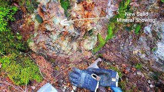 New Mineral Exposure & Prospecting A Small Mine Adit!