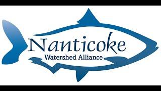 Nanticoke Creekwatchers: Calibrating and Troubleshooting pH