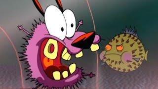 Fishy Business | Courage the Cowardly Dog | Cartoon Network Asia