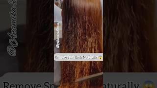 Remove Split Ends Naturally #shorts #hairgrowth #haircare #hairfall#splitends#viral #asmr#1m#short