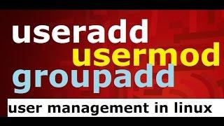 useradd/usermod/groupadd (user management) commands in linux