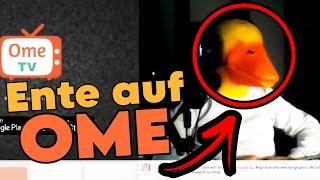 Ente auf OME