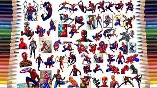 79 Pages For 1 YEAR of SPIDER-MAN Coloring Pages in 2021 | Best Of SPIDER-MAN Coloring [NCS Release]