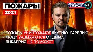 ПОЖАРЫ 2021: Пожары уничтожают Якутию и Карелию | Люди задыхаются | Дикаприо не поможет - Москва 24