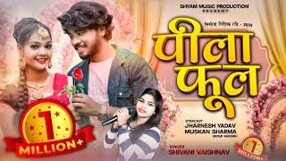 पीला फूल %PILA FHOOL %शिवानी वैष्णव CG VDO SONG %रवि श्याम @shyammusicproduction767