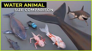 Water Animal Size Comparison | Biggest Water Animal