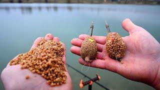 Pecanje Šarana u kasnoj Zimi- FEEDER RIBOLOV ONTARIO ZAGREB