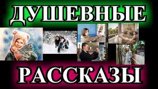 ДУШЕВНЫЕ    РАССКАЗЫ️ВЫХОДИ ЗА МЕНЯ ЗАМУЖ️НОВОГОДНЯЯ ПОТЕРЯШКА️БУДУ СЧАСТЛИВОЙ @TEFI РАССКАЗЫ