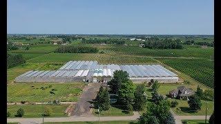 Greenhouse for Sale - 10 acre Property + 2 Houses in Niagara, Ontario