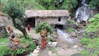 This is Himalayan Most Peaceful Nepali Village Lifestyle | Organic Food Cooking in Countryside |