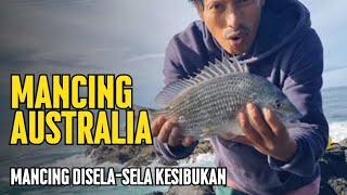 Mancing Australia | Mancing Asyik Di Tebing Disambar Bream Babon Besar
