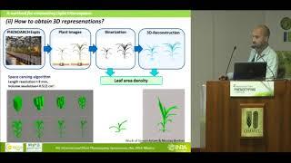 LEPSE, Llorenç Cabrera-Bosquet - High throughput estimation of incident light, light interception