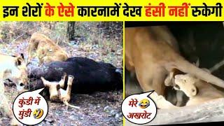 इनके ऐसे कारनामें देख हंसी नहीं रुकेगी  । funny animals videos 2023