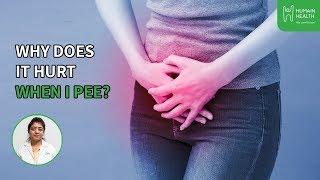 How To Stop Bladder Infections? | Humain Health