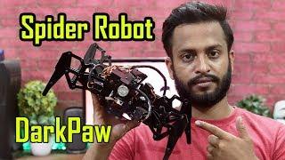 Make DarkPaw Spider Robot At Home - DIY Raspberry Pi Robotics! ️