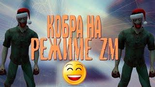 знат+зонг: ИГРА С КОБРОЙ НА РЕЖИМЕ ZM