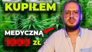 KUPIŁEM MEDYCZNĄ MARIHUANĘ JACK HERER S-LABB