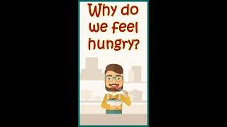 Why we feel hungry? Neural basis of Hunger | How hunger center works? Leptin and Ghrelin