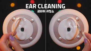 [ASMR] Gentle Both Ear Cleaning Only Auricle / 귓바퀴 귀청소 (No Talking)