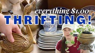 EVERYTHING $1! THRIFTING VINTAGE + THRIFT HAUL | Styled Thrift Haul