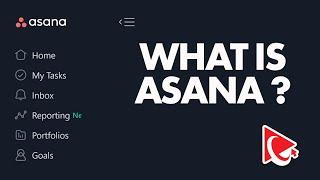 What is Asana: Project Management and Tasks Collaboration Tool