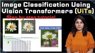 Image Classification Using Vision Transformer | ViTs