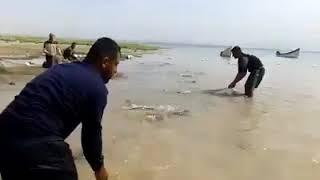 سوريا / دير الزور / صيد السمك في نهر الفرات