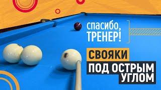 С каким винтом играть свояки? [4]