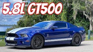 Buying a LEGENDARY Mustang: 2013 Shelby GT500