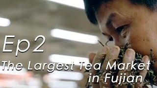 Fujian Tea Culture Ep2: The Largest Tea Market in Fujian Province.