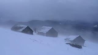 Şiddetli Kış ve Rüzgar Sesi   Kar fırtınası sesi // Severe Winter and Wind Sounds Snowstorm sounds