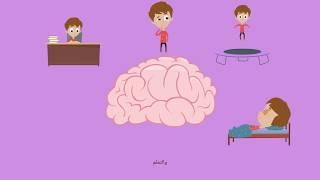 شرح مبسط للأطفال عن كيفية عمل الدماغ - How Your Brain Works