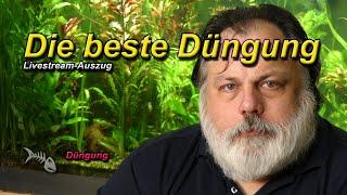 DIE BESTE DÜNGUNG im Aquarium - Bodendüngung oder über das Wasser?