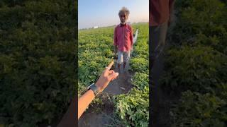 सिंचाई का साधन ‍ #farming #agriculture