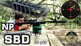 Benjamin Trail .22 Air Rifle - Accuracy Test !! - 25 & 50 Yards + FULL REVIEW - Stealth NP2 Airgun