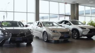 Meet Atlantic Lexus of 110's Pre-Owned Sales Director