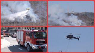 Waldbrand am Brocken am 07.09.2024