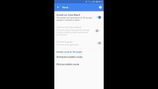 Assistente vocale Google: Risolvere l’errore di attivazione del Voice Match